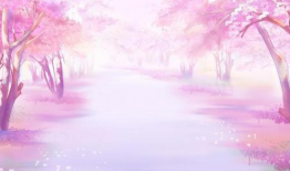 樱花网动漫,描绘青春梦想的动漫世界