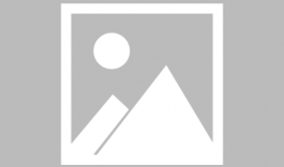 91户外树林直播,穿梭树林间的自然奇观实时呈现